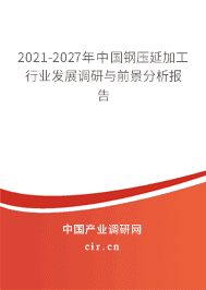 2021年鋼壓延加工行業發展前景分析